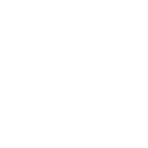 Annual boiler service plans icon