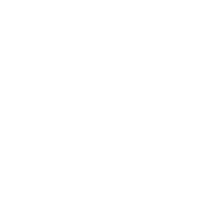 Boiler repairs & fault finding icon