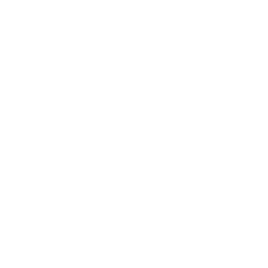 Boiler servicing icon