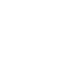Combi, system & conventional boilers icon