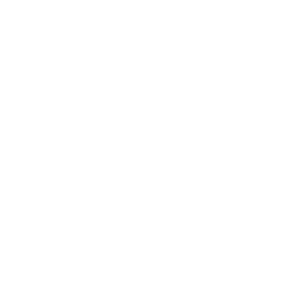 Compliance checks icon