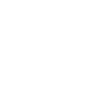Electrical repairs & maintenance icon