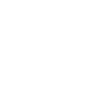 Emergency electrical faults icon