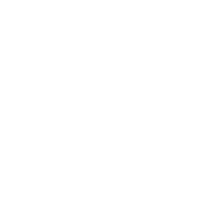 Landlord electrical safety inspections icon