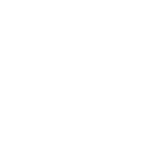 Long-term system care & compliance icon