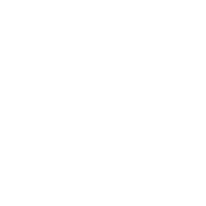 Power & socket upgrades icon