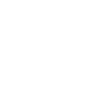 Preventative maintenance icon