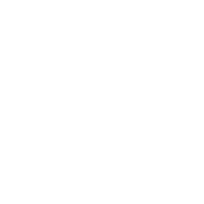 Priority call-outs icon